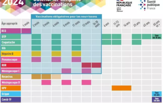 calendrier vaccinal 2024